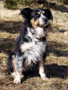 Baroness Fatranský sen